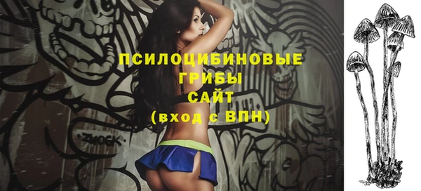 молекула духа Вязники
