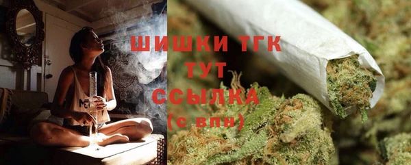 бошки Вяземский