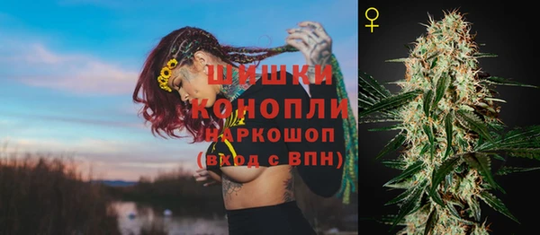 бошки Вяземский