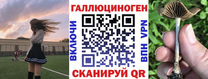 Галлюциногенные грибы Psilocybe  где купить   Елец 